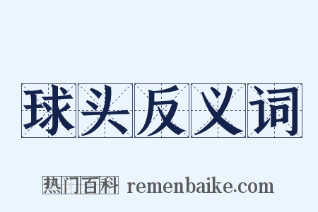 球头反义词是什么意思的图片